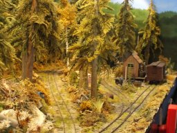 Expo Model Club 2015