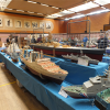 Expo Model Plobsheim 2017